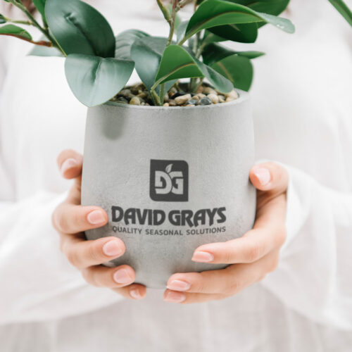 David Grays Brand Mockup